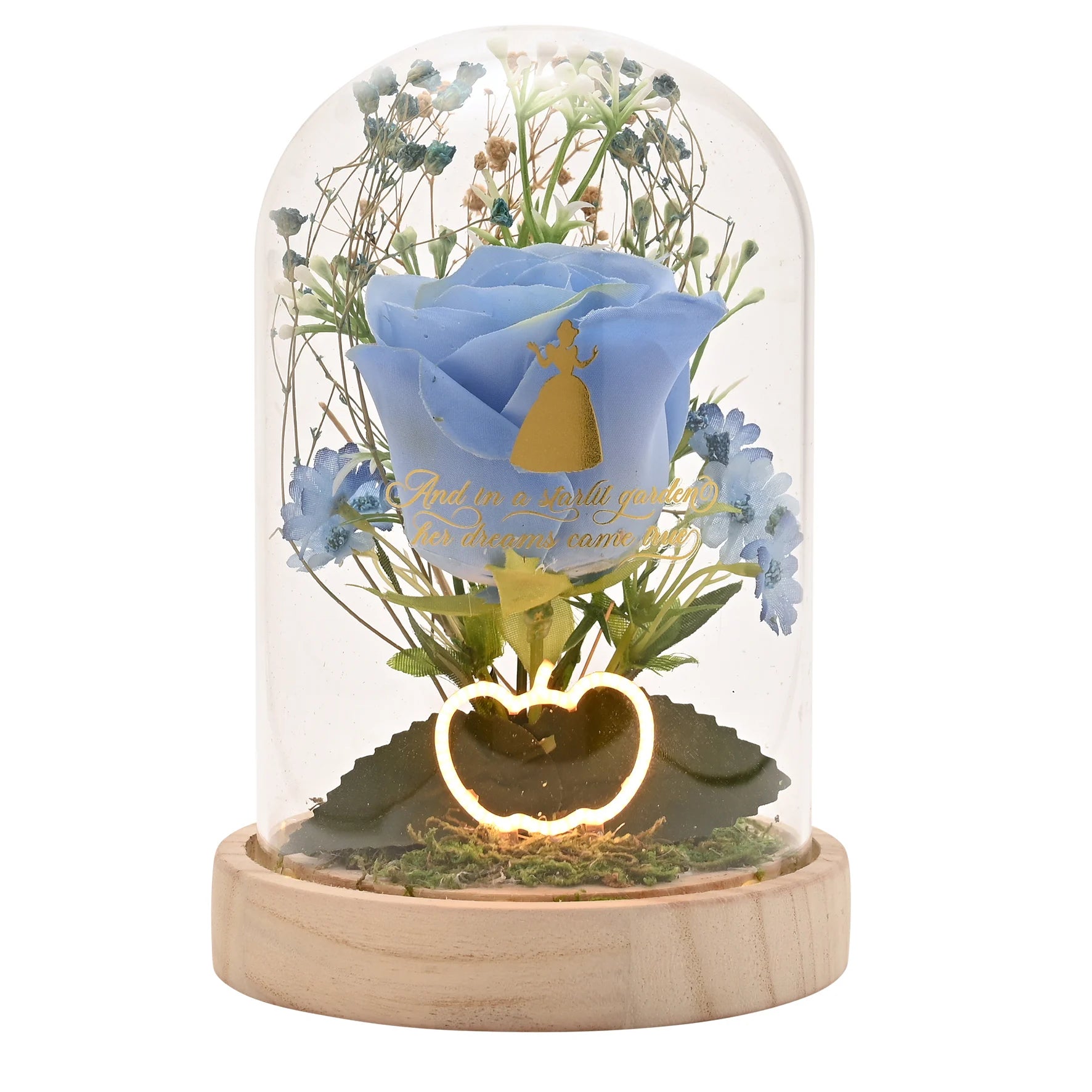 Disney Pastel Princess Florals in een stolp met neonlicht – Assepoester op een rustieke houten basis, met sierlijke bloemen en een warme gloed, een betoverende decoratie of cadeau voor Disney-liefhebbers (werkt op 3 x AAA-batterijen, niet inbegrepen).