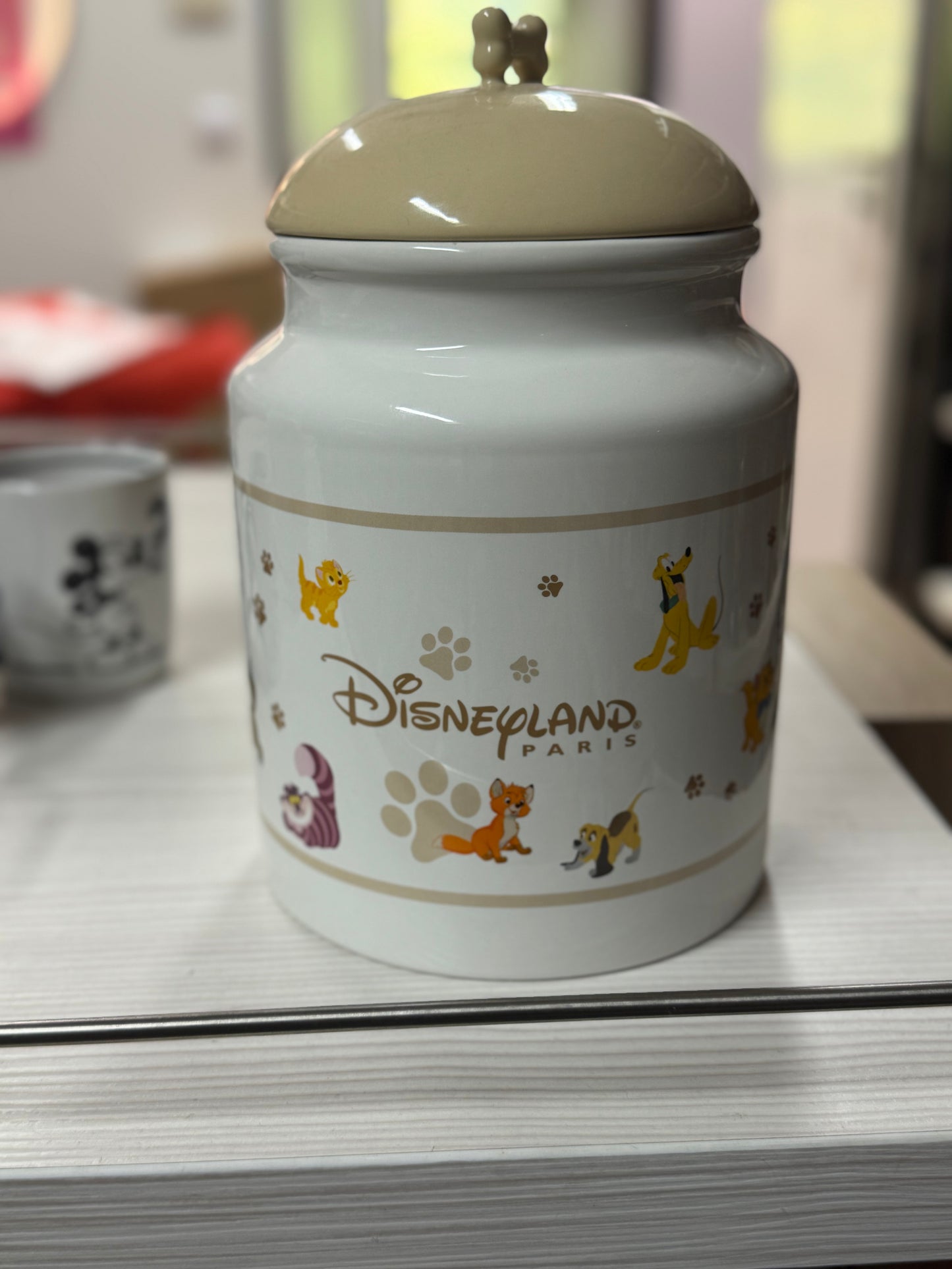 Disneyland Parijs For My Favorite Pet Cookie Jar